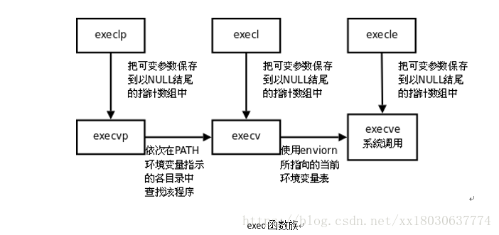 linux操作系统之exec函数族