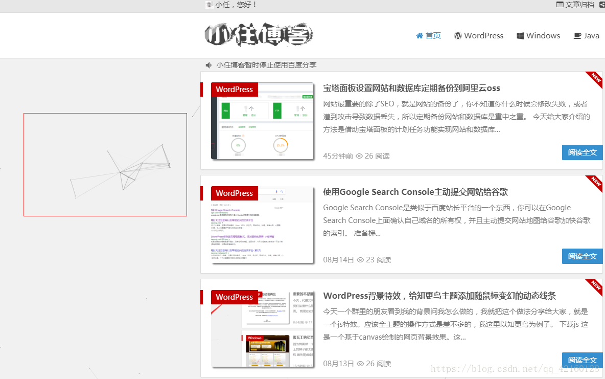 Wordpress背景特效 给知更鸟主题添加随鼠标变幻的动态线条 王国任的博客 Csdn博客