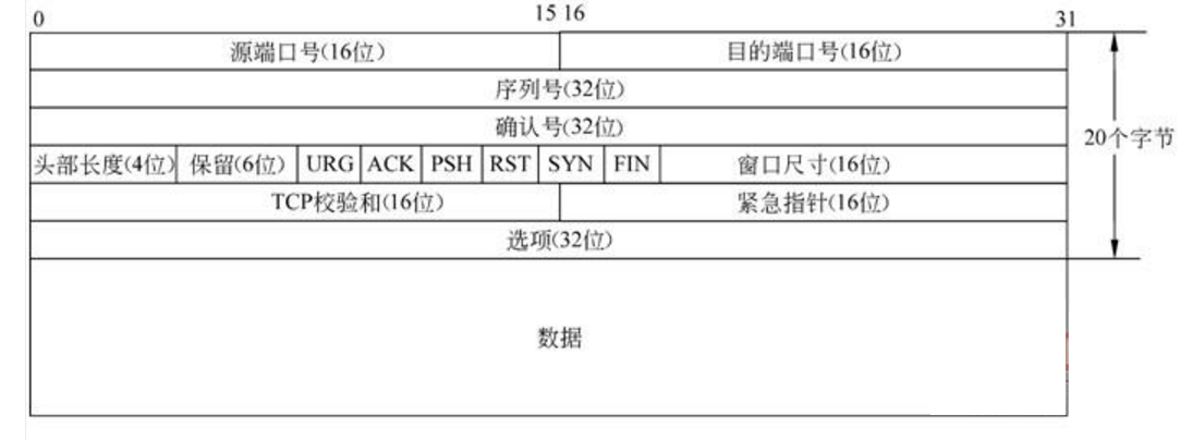 tcp和udp的面试题_adp转化为amp