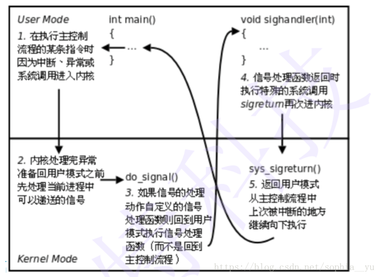 信号的捕捉、可重入函数、竞态条件、alarm和pause实现sleep、