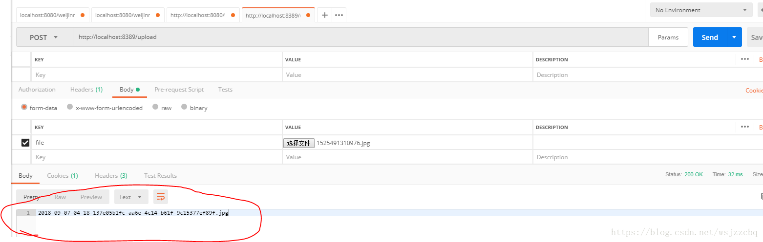 使用PostMan上传文件，有图易懂