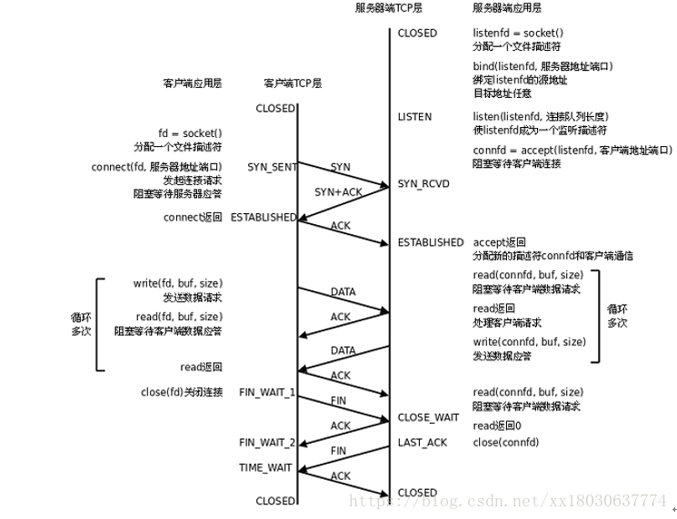 linux网路编程之TCP状态转换及端口复用