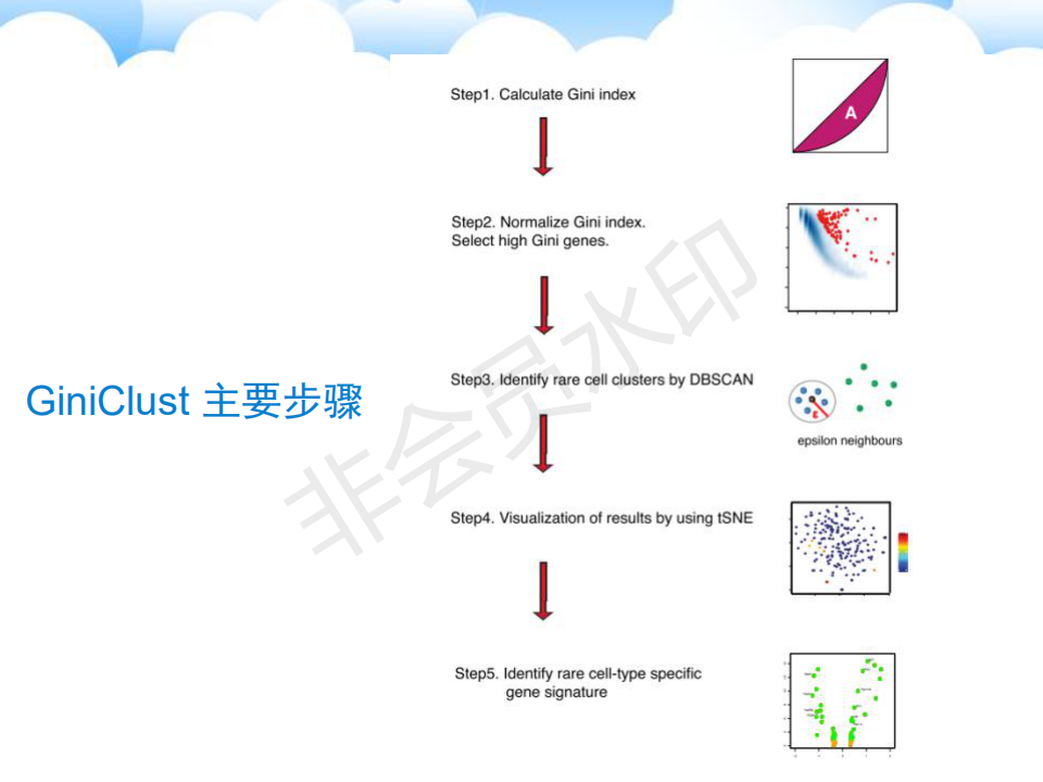 论文汇报总结--GiniClust（基尼聚类）_giniclust: Detecting Rare Cell Types From ...