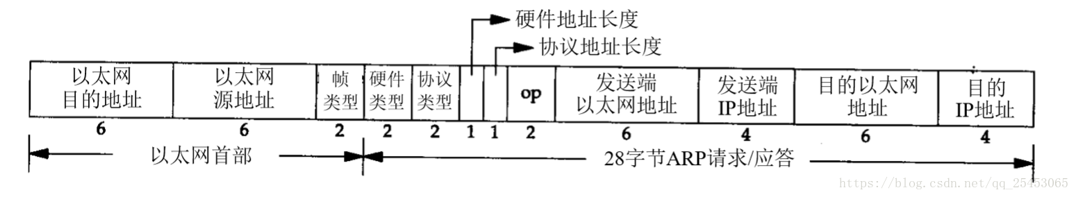 arp 報文基本格式