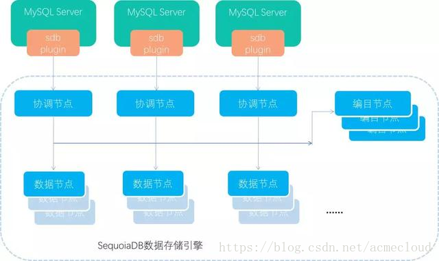 MySQL+SequoiaDB整體架構示意