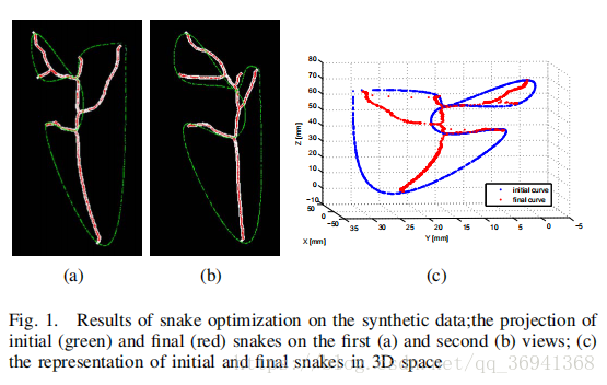 对合成数据进行蛇优化的结果;在第一个（a）和第二个（b）视图上的初始（绿色）和最终（红色）蛇的投影;（c）三维空间中最初和最后的蛇的表现