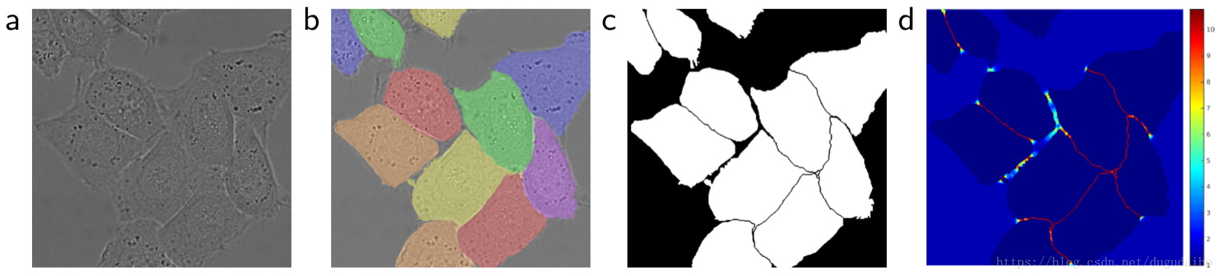 Границы изображения. Semantic and instance Segmentation. Instance Segmentation vs semantic Segmentation. Segmentation Map. Semantic Segmentation Biomedical.