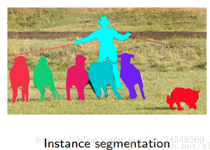 instance segmentation