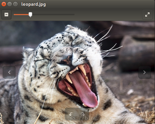 Ubuntu 下查看图片