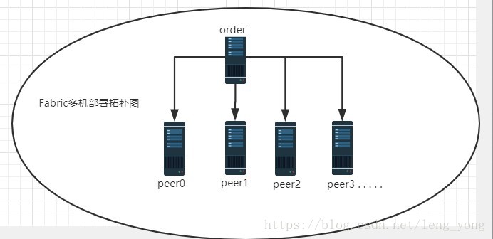 Fabric多机部署拓扑图