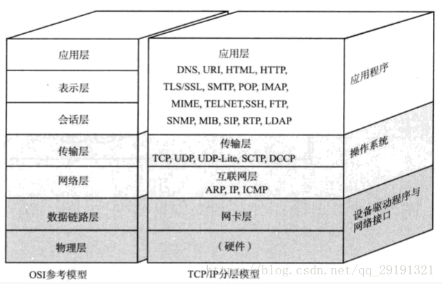 參考模型