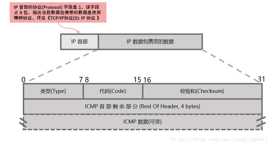 ICMP 报文首部