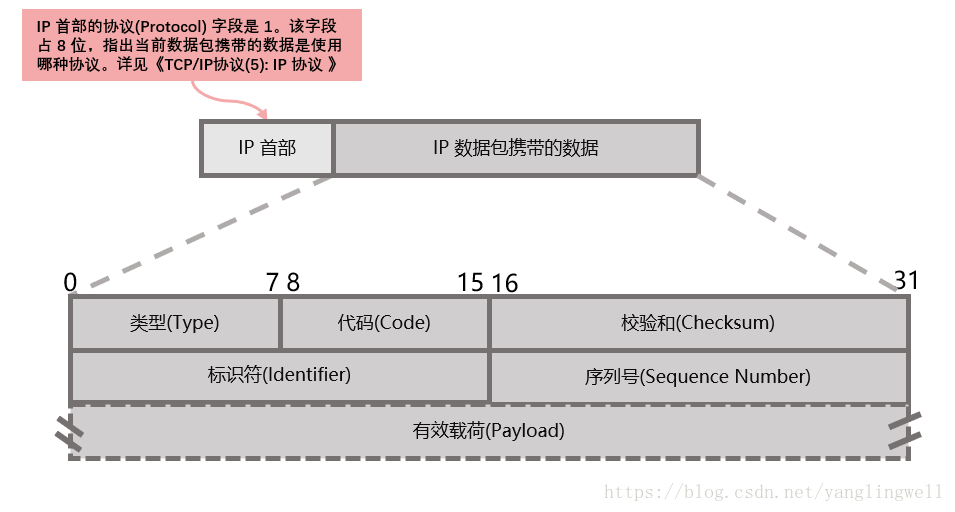 ICMP 回显