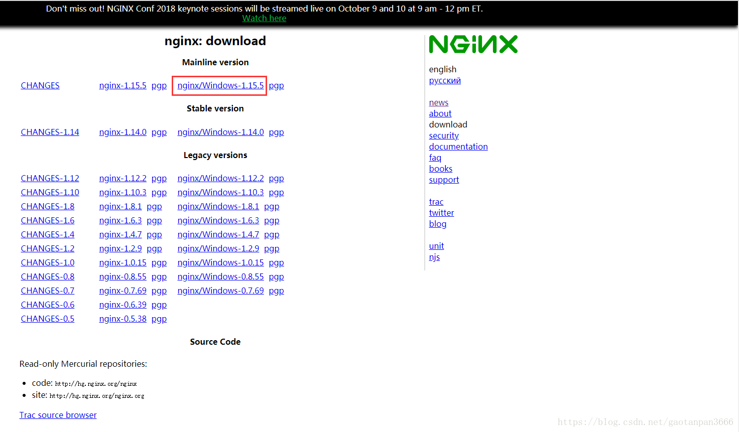 Nginx index html