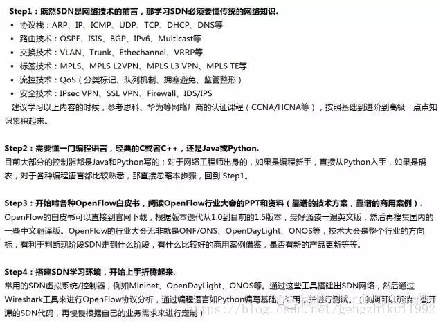 Sdn简介 网络安全研究 Csdn博客