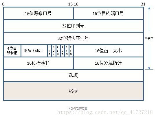 TCP头部结构详解