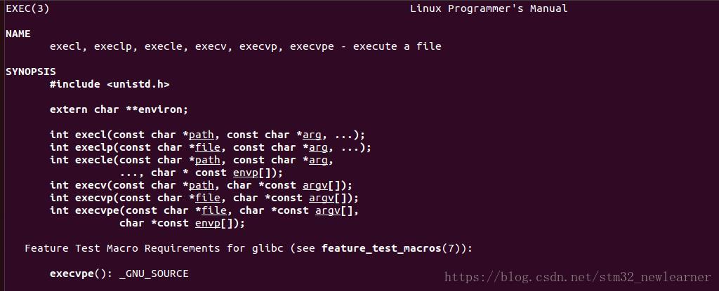 Команда exec в linux