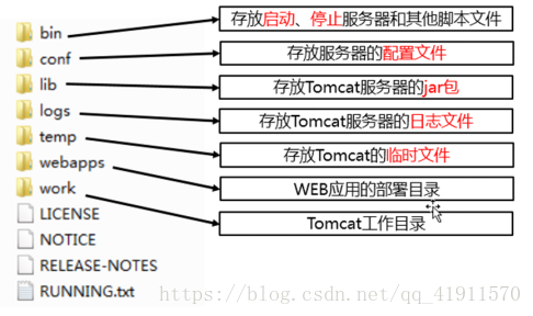 Tomcat