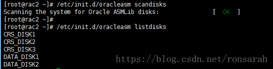 Oracle 11gr2 RAC安装笔记（三）共享存储配置