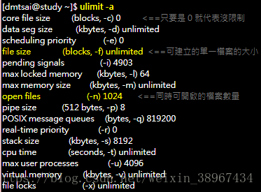 Linux 5 认识与学习bash Huanggechao的博客 Csdn博客 Linux查看操作系统版本