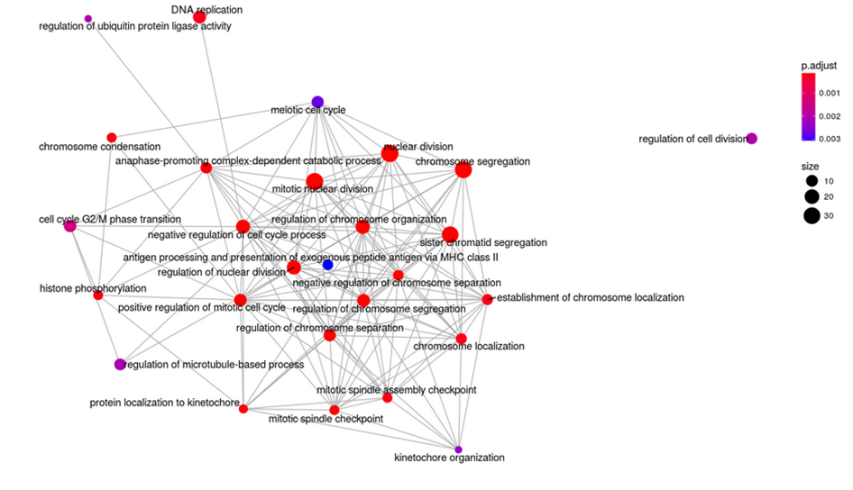 R: ClusterProfiler/enrichplot 富集分析与可视化神器_clusterprofiler官网-CSDN博客